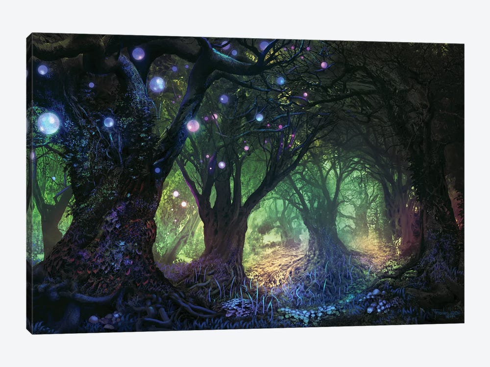 Forest Wisp by Ferdinand Ladera 1-piece Canvas Print