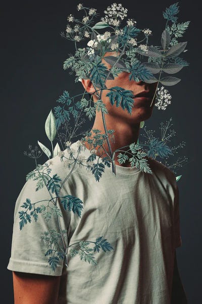 Fashion Lover: Waiting To Inhale by Frank Moth