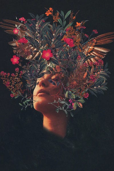 Feathers: Kissing Rosa by Frank Moth