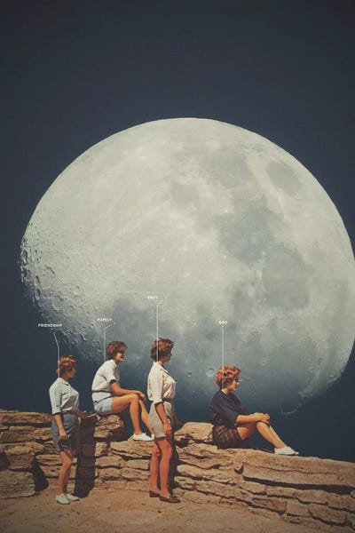 FriendsnotFriends by Frank Moth canvas print