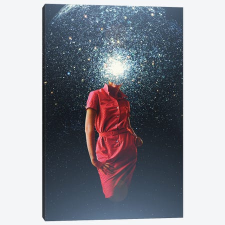 AstroMemory Canvas Print #FRM117} by Frank Moth Canvas Wall Art