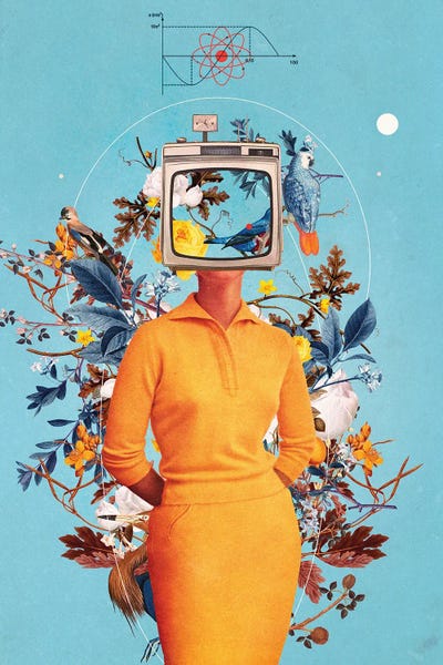 Nostalgia: Don't Feed The Monitors With Your Dreams by Frank Moth