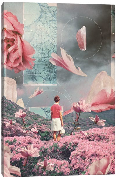 Trying To Accept The Distance Canvas Art Print - Frank Moth