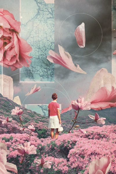 Blossoms: Trying To Accept The Distance by Frank Moth