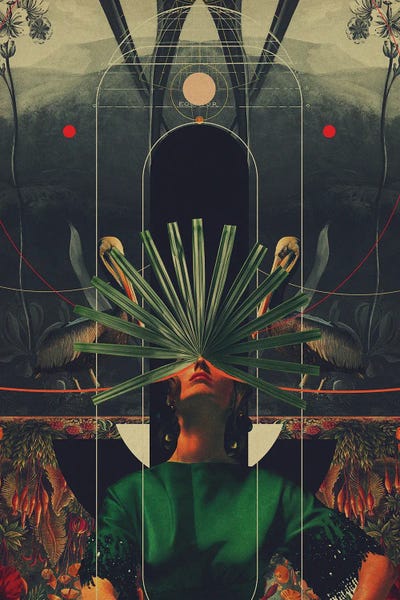 Portraits: She Saw The Equator by Frank Moth