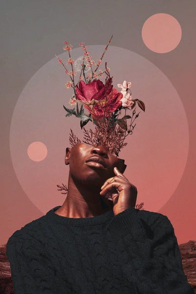 Pale Memories Of Dusk by Frank Moth canvas print