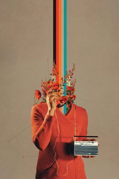 Frank Moth: Musicolor by Frank Moth