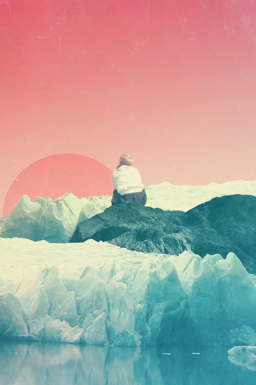 PaleDreamer by Frank Moth wall art