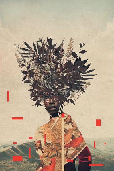 Frank Moth: Perseverance by Frank Moth