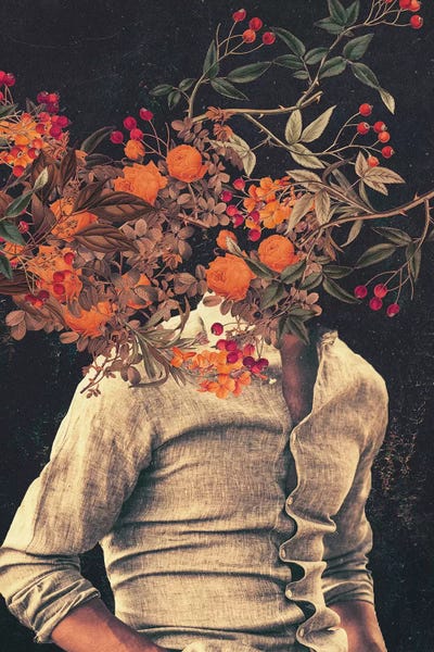 Floral & Botanical: Roots by Frank Moth