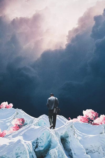 The Path to Solitude is full of Winter Roses by Frank Moth metal wall art