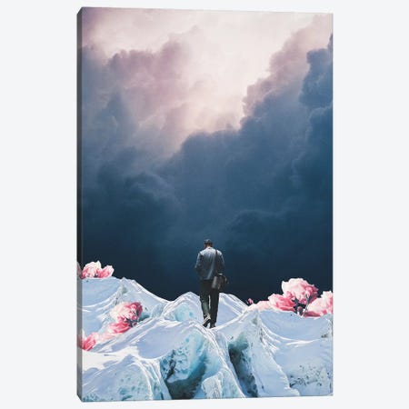 The Path to Solitude is full of Winter Roses Canvas Print #FRM41} by Frank Moth Canvas Wall Art
