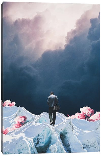 The Path to Solitude is full of Winter Roses Canvas Art Print - Virtual Escapism