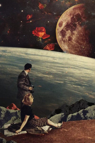 Space Fiction: The Roses Came by Frank Moth
