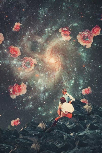 Space Fiction: They Dont See What We See by Frank Moth