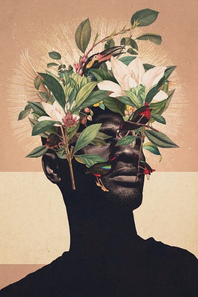 Contemporary Fine Art: Birds Are My Real Origin by Frank Moth