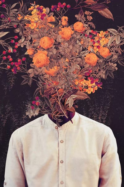 Frank Moth: Bloom by Frank Moth