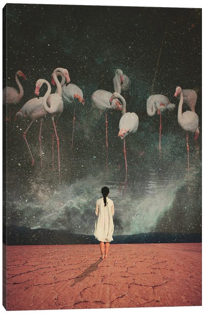 Hanging On A Dream Canvas Art Print - Flamingo Art