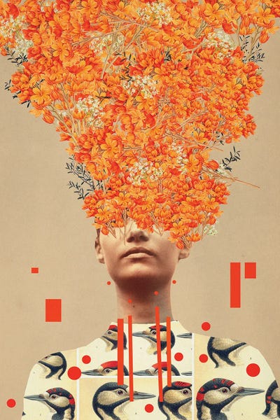 Frank Moth: Bird Flight In Autumn by Frank Moth
