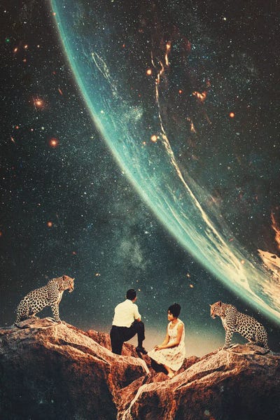 Cheetahs: Guardians of our Future by Frank Moth