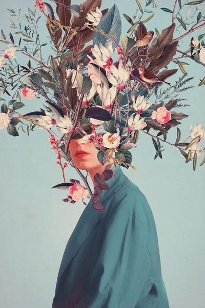 Women's Fashion: I Was Hidden But You Saw Me by Frank Moth