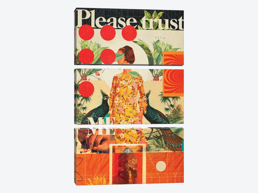 Please Trust Me by Frank Moth 3-piece Canvas Print