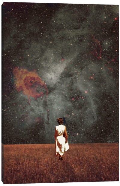 Follow me Canvas Art Print - Astronomy & Space Art