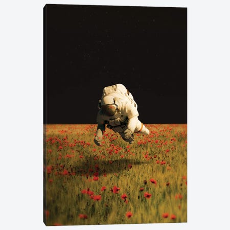 Missing Nature Canvas Print #FRO103} by Fran Rodriguez Canvas Print