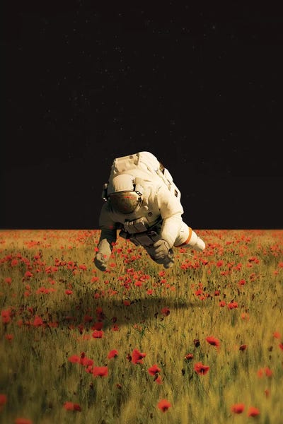 Going Solo: Missing Nature by Fran Rodriguez