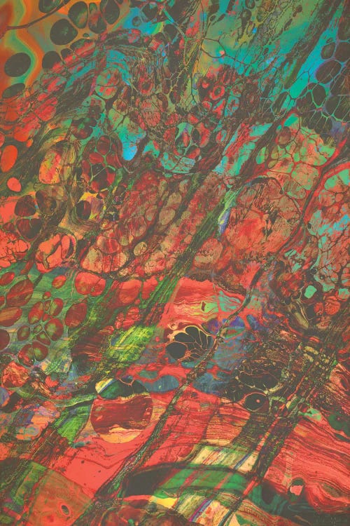 Feed Your Head III by Fran Rodriguez canvas print