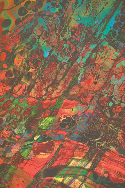 Fran Rodriguez: Feed Your Head III by Fran Rodriguez