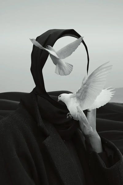 Untitled by Fran Rodriguez framed wall art