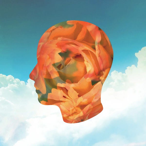 Dreams: Flashback by Fran Rodriguez