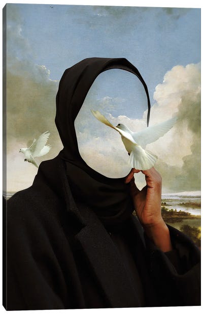Unnamed. Doves Canvas Art Print - Fran Rodriguez