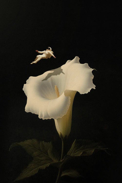 Botanica