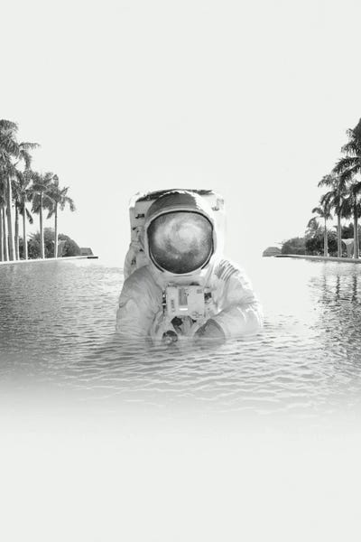 Astronomy & Space: Astronaut by Fran Rodriguez