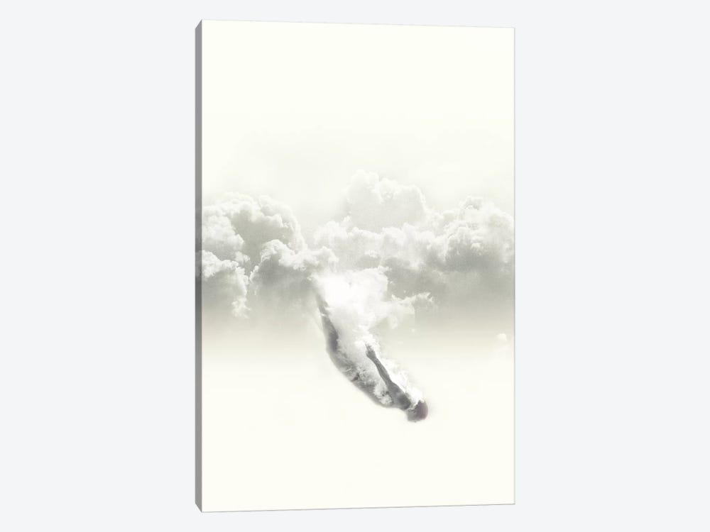 Sky Diver by Fran Rodriguez 1-piece Art Print