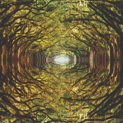 Woods I by Fran Rodriguez multi panel art