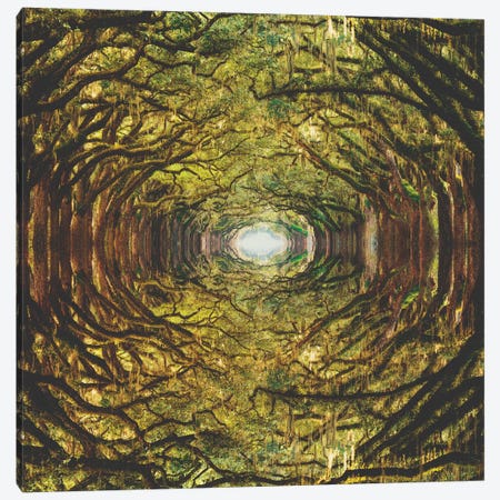 Woods I Canvas Print #FRO42} by Fran Rodriguez Canvas Art