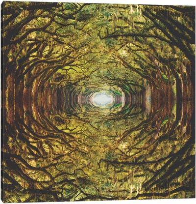 Woods I Canvas Art Print - Dreamscape Art