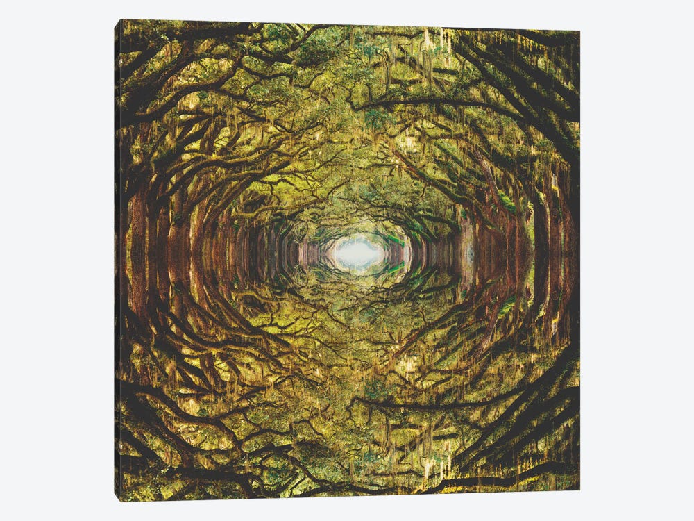 Woods I by Fran Rodriguez 1-piece Canvas Art