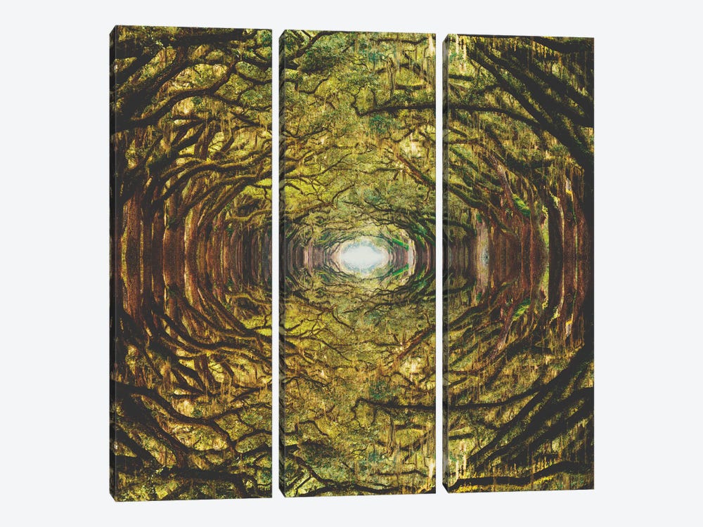 Woods I by Fran Rodriguez 3-piece Canvas Art