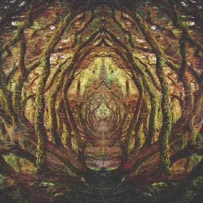 Woods II by Fran Rodriguez multi panel art