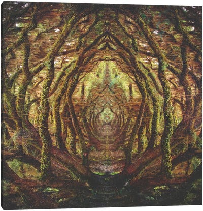Woods II Canvas Art Print - Virtual Escapism