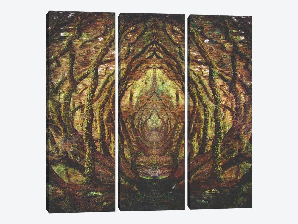 Woods II by Fran Rodriguez 3-piece Art Print