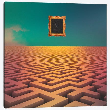 Labyrinth Canvas Print #FRO57} by Fran Rodriguez Canvas Wall Art