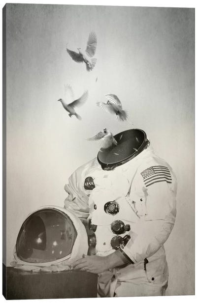 Doves Canvas Art Print - Astronaut Art