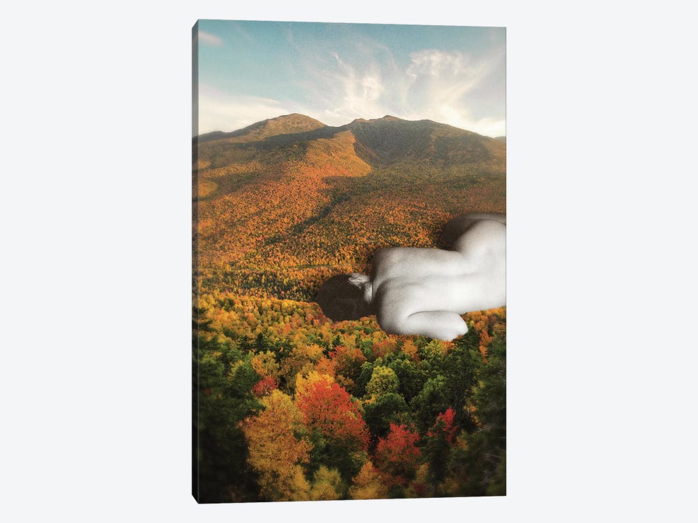 Fall by Fran Rodriguez 1-piece Canvas Print