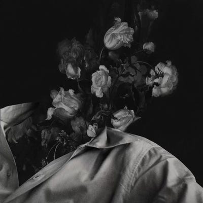 In Bloom I by Fran Rodriguez framed wall art