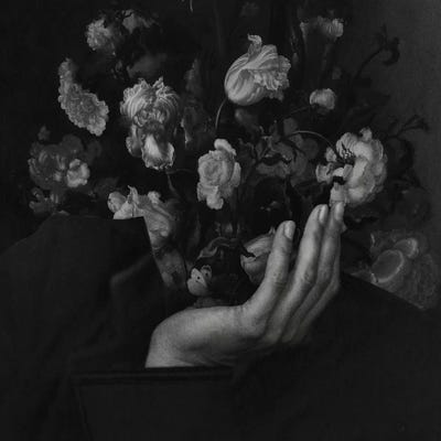 In Bloom II by Fran Rodriguez canvas print